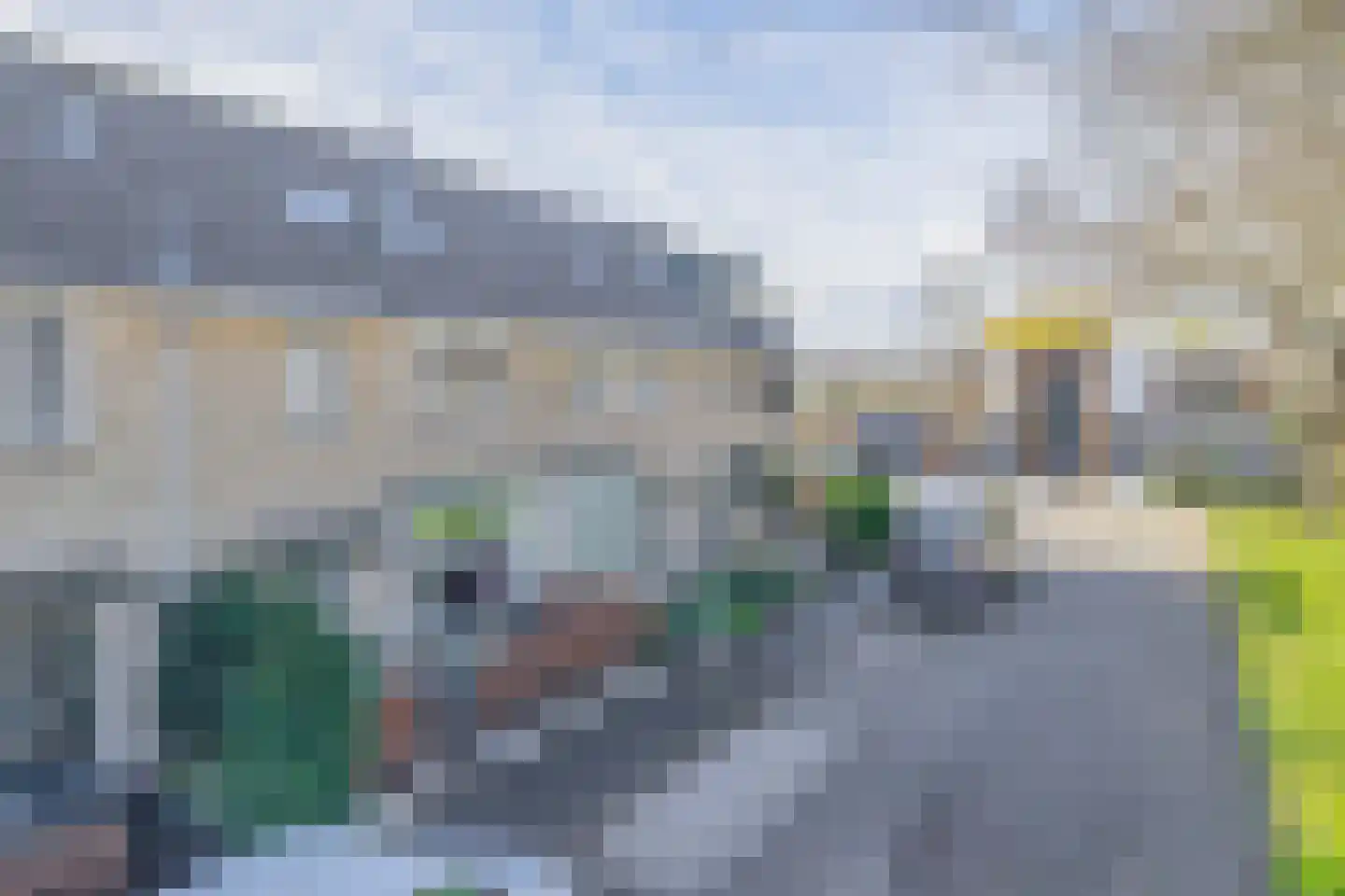 Weegbree 6 Krimpen aan den IJssel thumbnail 5