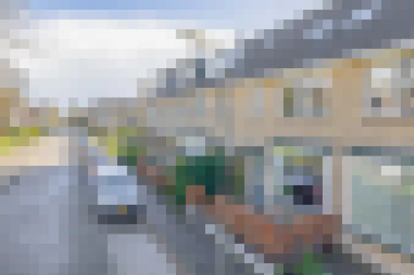Weegbree 6 Krimpen aan den IJssel thumbnail 6