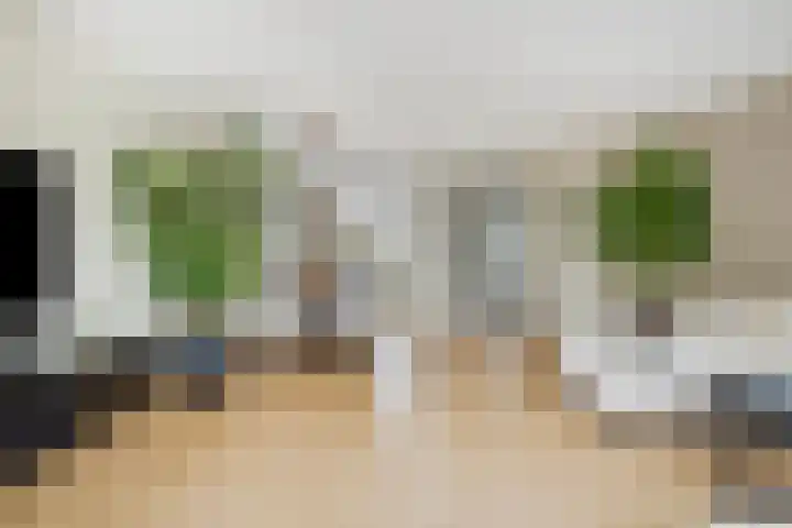 Weegbree 60 Zetten thumbnail 15