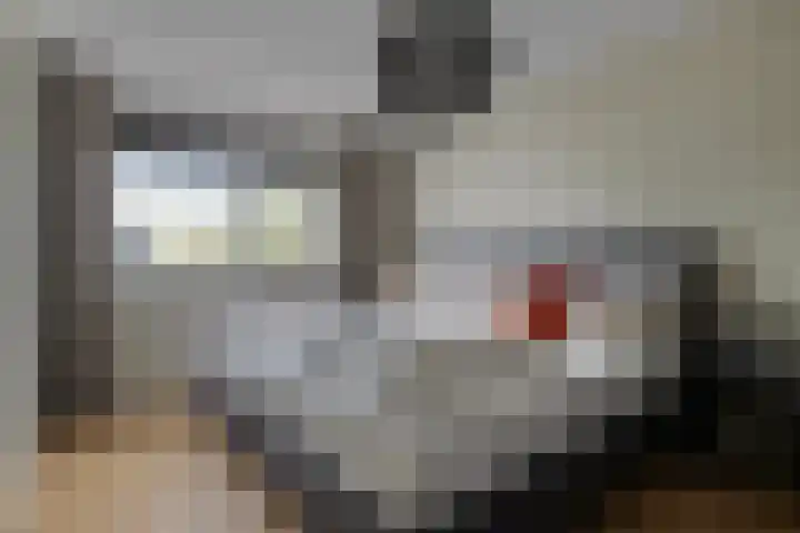 Weegbree 60 Zetten thumbnail 25