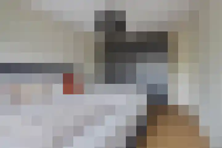 Weegbree 60 Zetten thumbnail 26