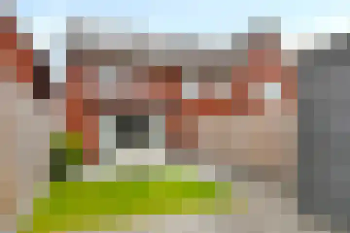Weegbree 60 Zetten thumbnail 37