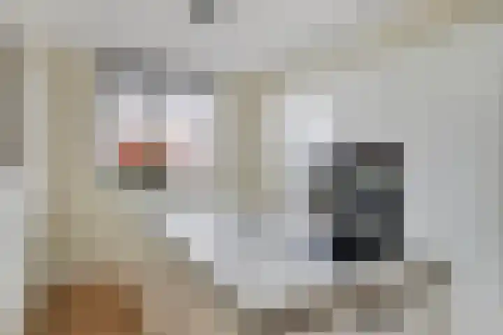 Weegbree 60 Zetten thumbnail 4