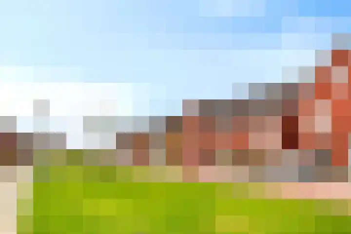 Weegbree 60 Zetten thumbnail 5