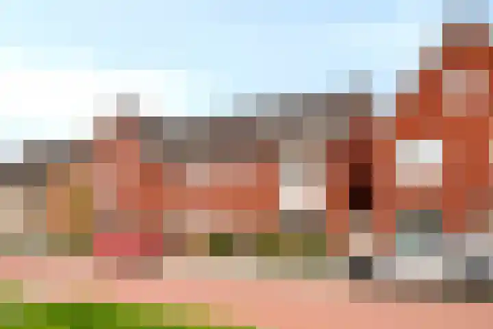 Weegbree 60 Zetten thumbnail 6