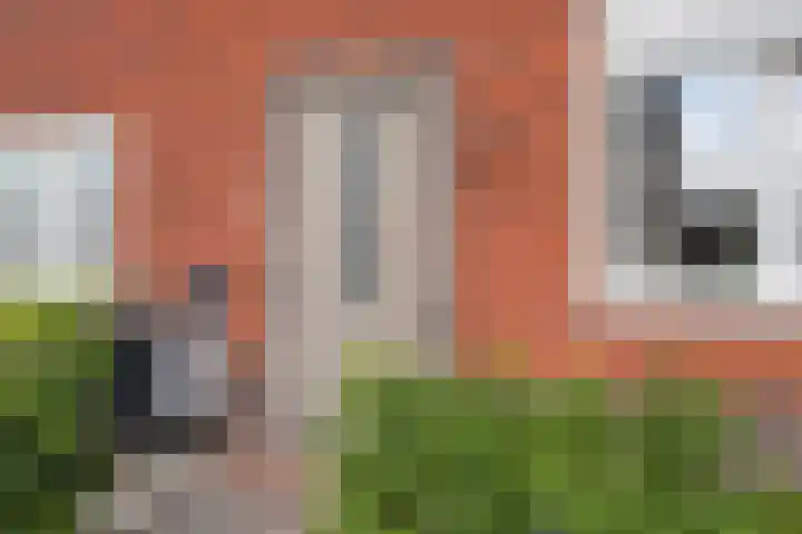 Weegbree 60 Zetten thumbnail 8