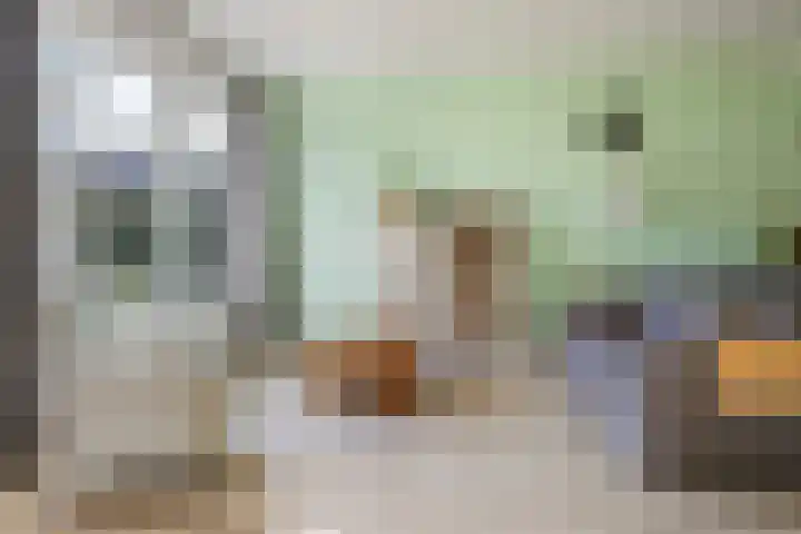 Weegbree 61 Zetten thumbnail 11