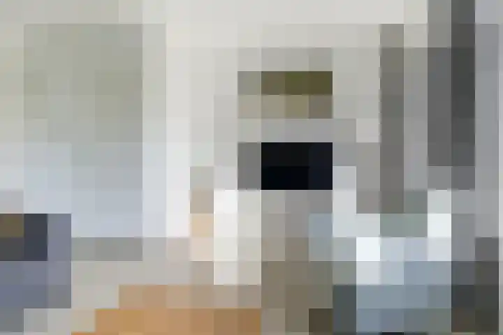 Weegbree 61 Zetten thumbnail 14