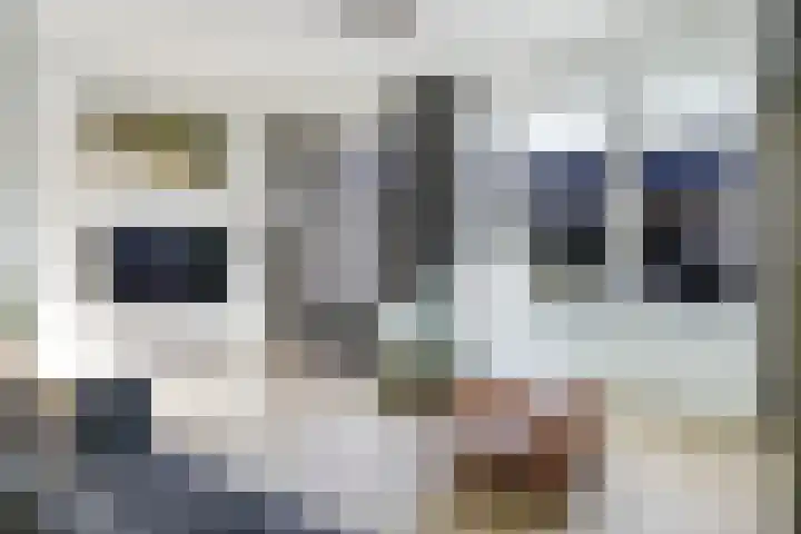 Weegbree 61 Zetten thumbnail 18