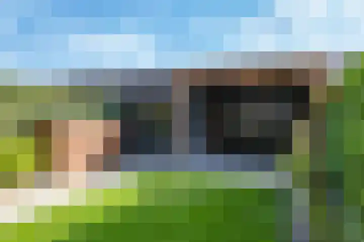 Weegbree 61 Zetten foto 2