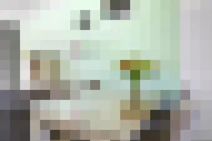Weegbree 61 Zetten thumbnail 22