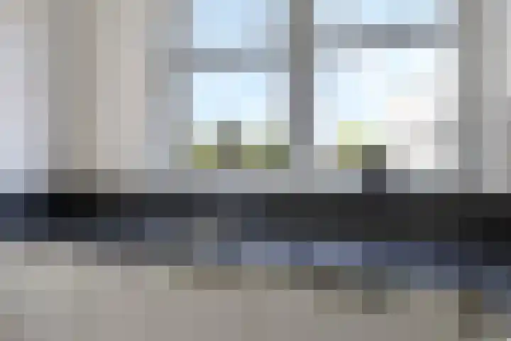 Weegbree 61 Zetten thumbnail 25