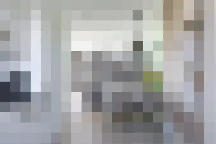 Weegbree 61 Zetten thumbnail 26