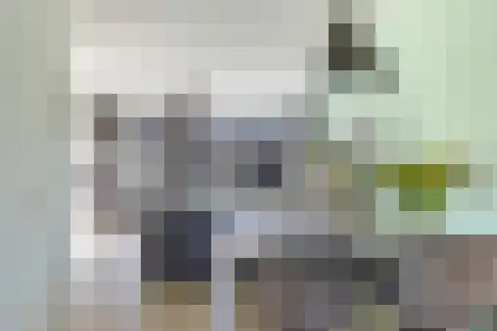 Weegbree 61 Zetten thumbnail 27