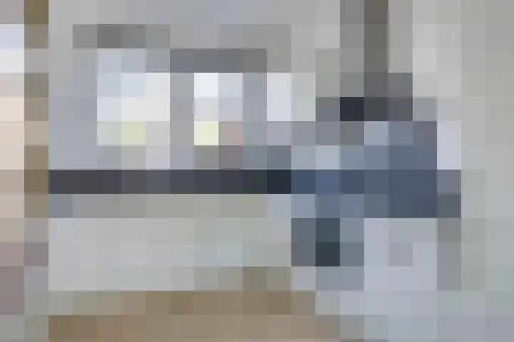 Weegbree 61 Zetten foto 3