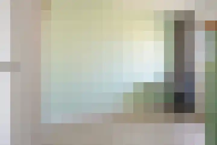 Weegbree 61 Zetten thumbnail 38