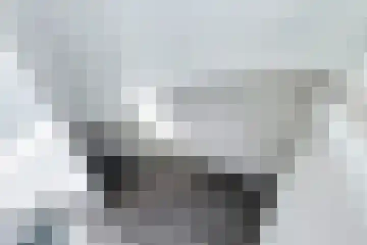 Weegbree 61 Zetten thumbnail 43
