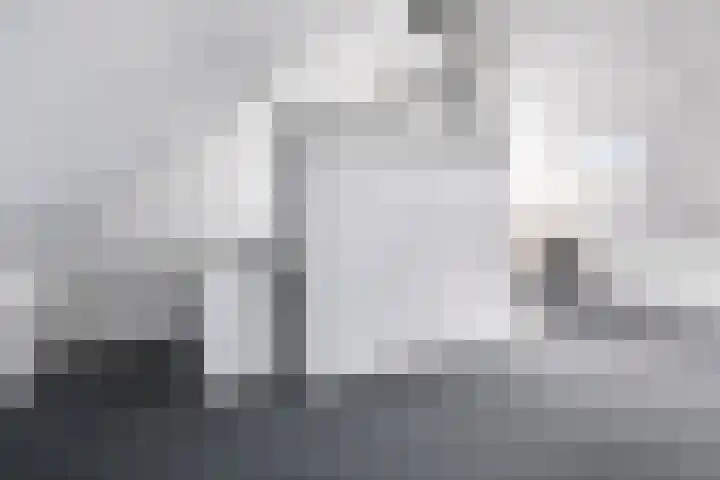 Weegbree 61 Zetten thumbnail 45