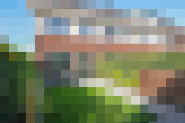 Weegbree 61 Zetten thumbnail 49