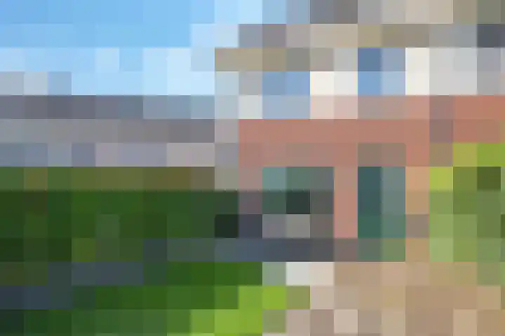Weegbree 61 Zetten thumbnail 50