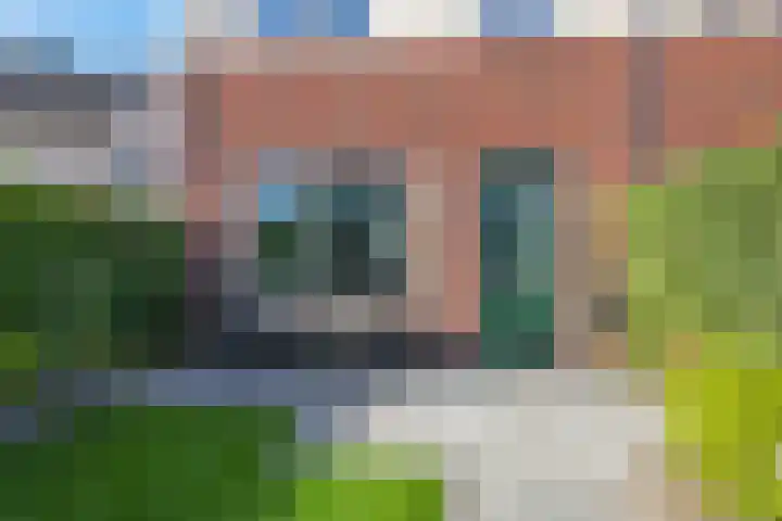 Weegbree 61 Zetten thumbnail 51