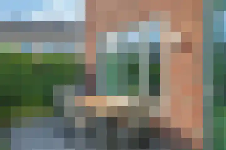 Weegbree 61 Zetten thumbnail 52
