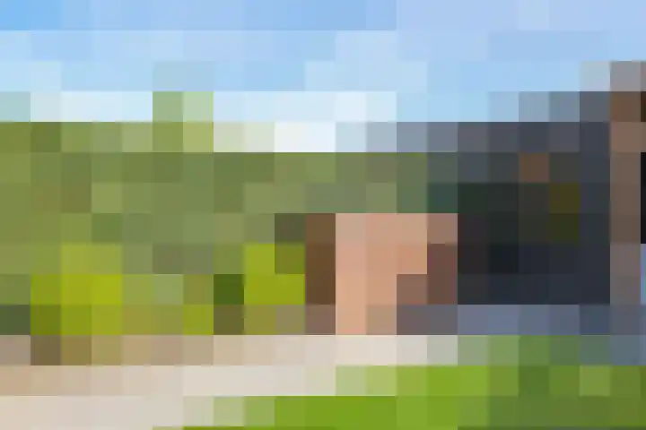 Weegbree 61 Zetten thumbnail 53
