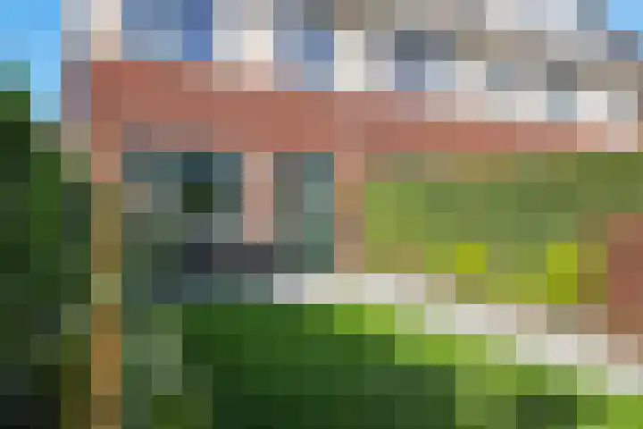 Weegbree 61 Zetten thumbnail 54