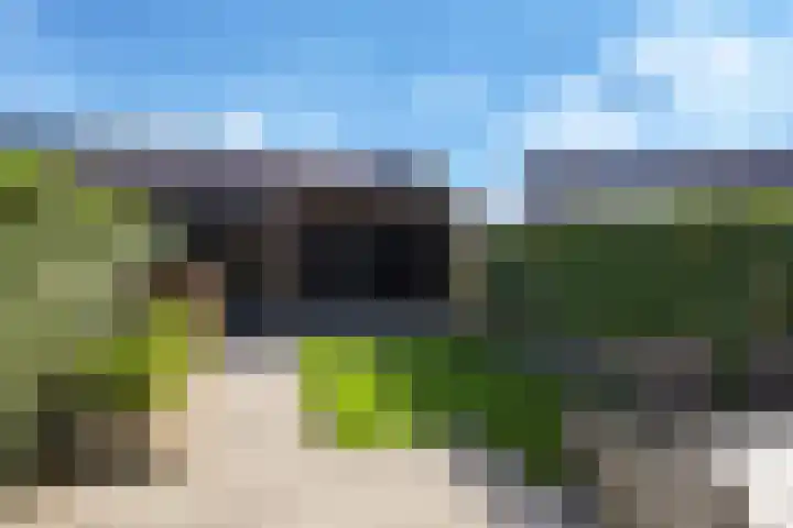 Weegbree 61 Zetten thumbnail 55