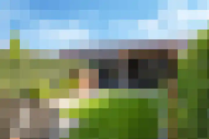 Weegbree 61 Zetten thumbnail 56