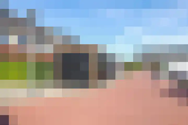 Weegbree 61 Zetten thumbnail 61