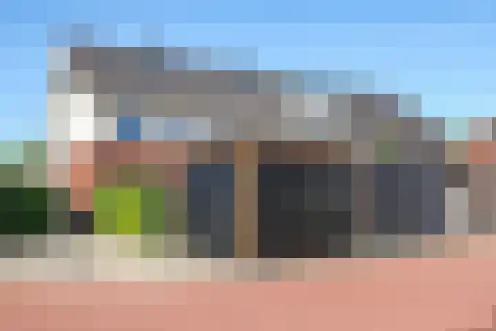Weegbree 61 Zetten thumbnail 62