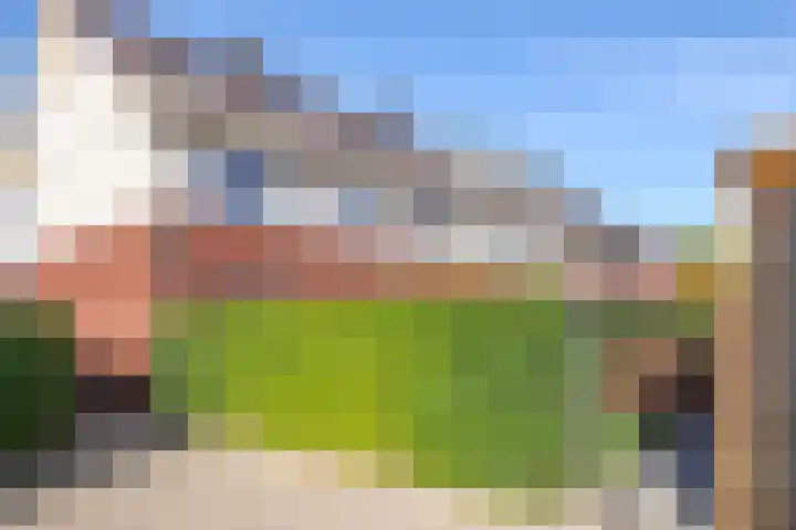 Weegbree 61 Zetten thumbnail 63