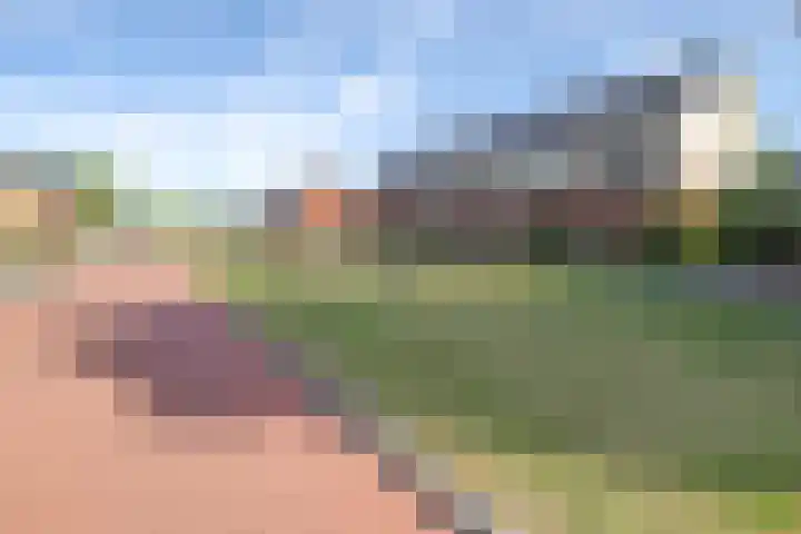 Weegbree 61 Zetten thumbnail 65