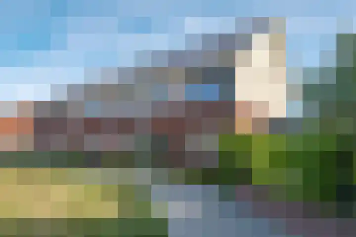 Weegbree 61 Zetten thumbnail 67
