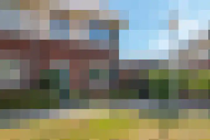 Weegbree 61 Zetten thumbnail 68