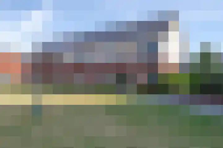 Weegbree 61 Zetten thumbnail 69