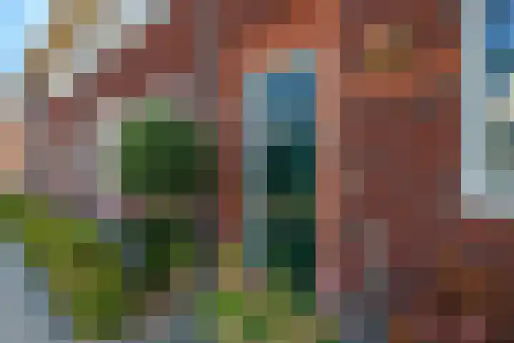 Weegbree 61 Zetten thumbnail 7