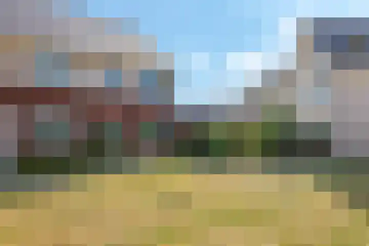 Weegbree 61 Zetten thumbnail 70