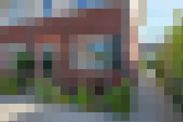 Weegbree 61 Zetten thumbnail 71