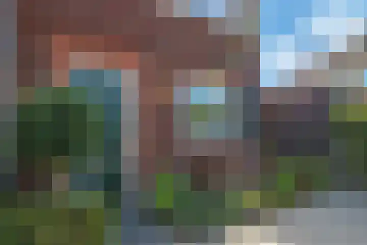 Weegbree 61 Zetten thumbnail 72