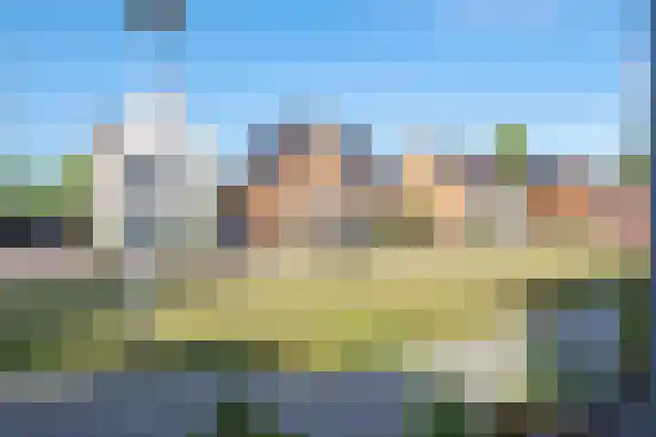Weegbree 61 Zetten thumbnail 73