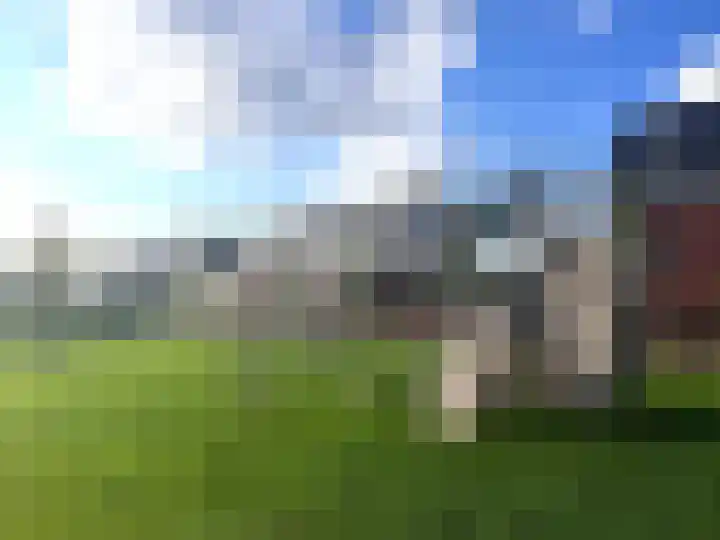 Weegbree 61 Zetten thumbnail 74