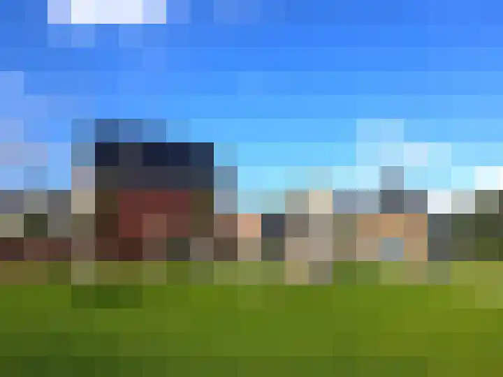 Weegbree 61 Zetten thumbnail 75