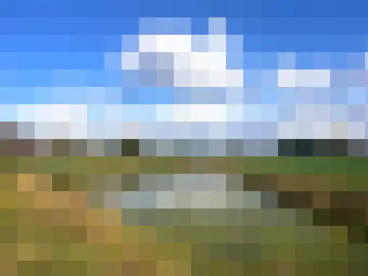 Weegbree 61 Zetten thumbnail 76