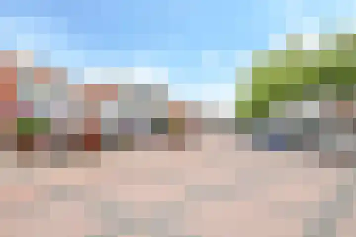 Weegbree 61 Zetten thumbnail 77
