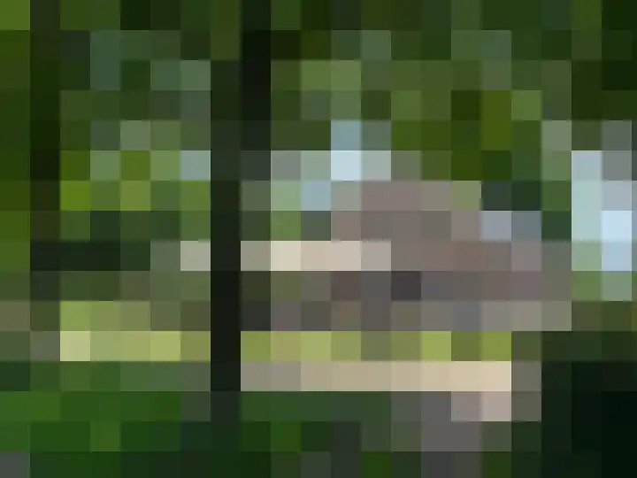 Weegbree 61 Zetten thumbnail 82