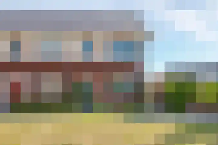 Weegbree 61 Zetten thumbnail 87