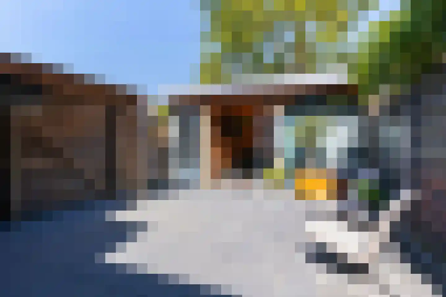 Weegbree 61 Zwaag thumbnail 38
