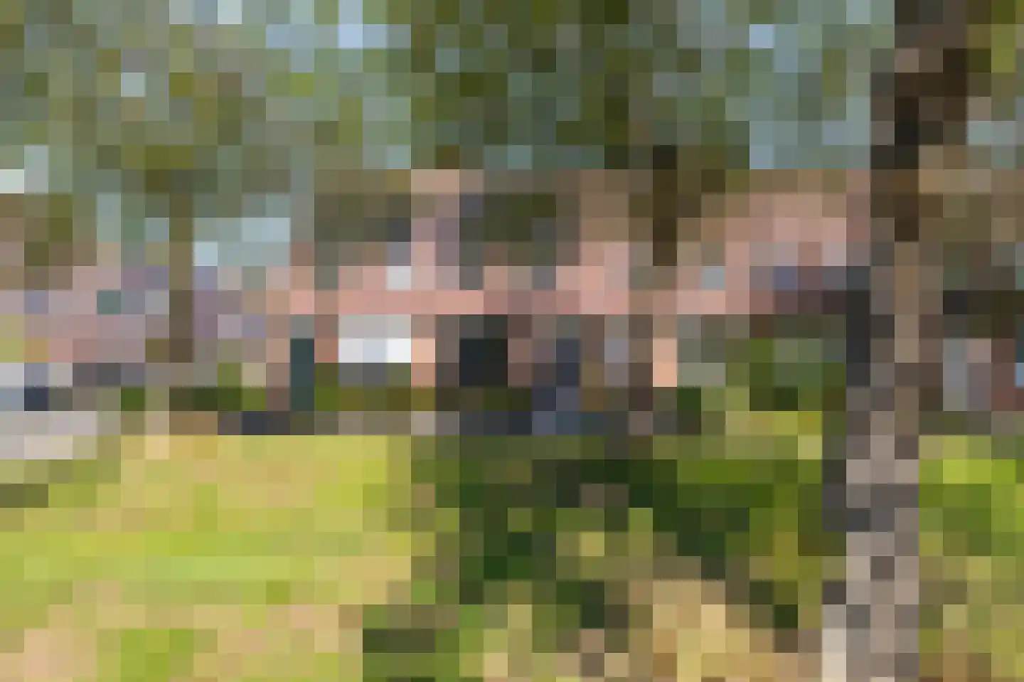 Weegbree 61 Zwaag thumbnail 45